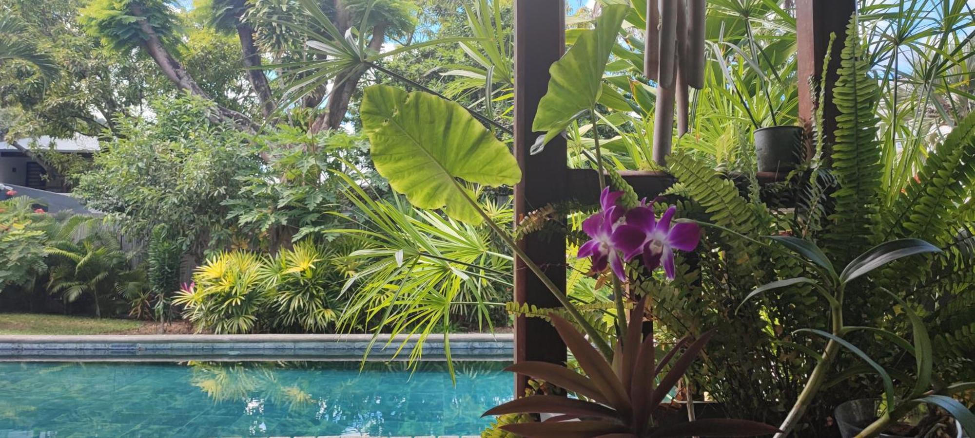Sweet Island Bed & Breakfast Riviere Noire Bagian luar foto