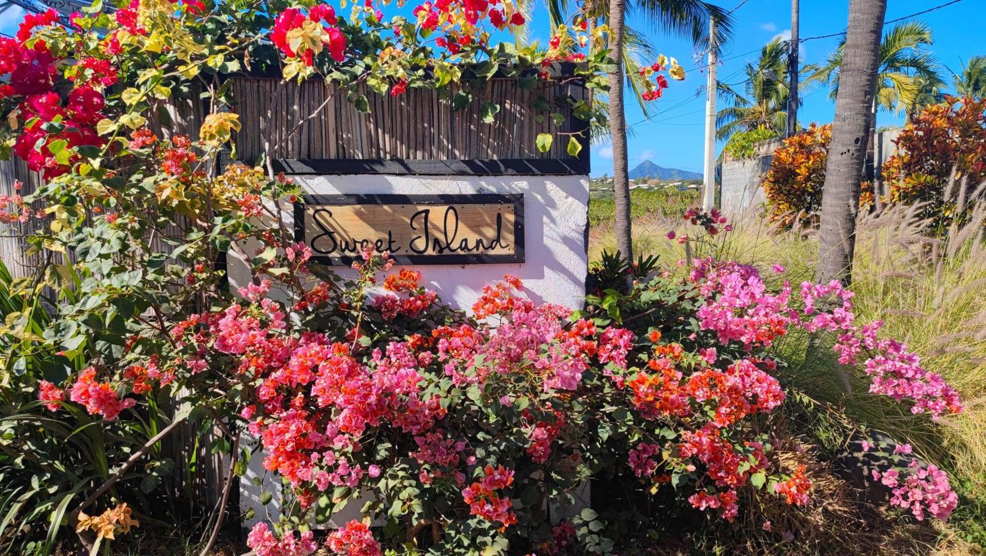 Sweet Island Bed & Breakfast Riviere Noire Bagian luar foto